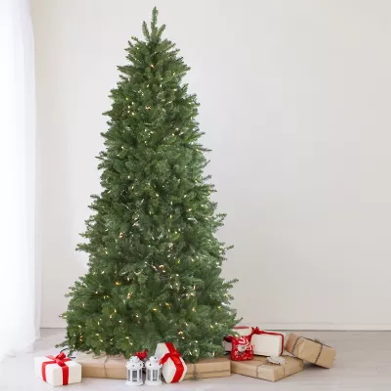 Northlight Medium Neola Fraser Artificial Dual Led Lights 6 1/2 Foot Pre-Lit Fir Christmas Tree