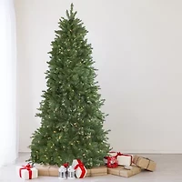 Northlight Medium Neola Fraser Artificial Dual Led Lights 6 1/2 Foot Pre-Lit Fir Christmas Tree