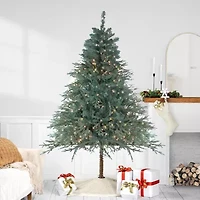 Northlight Medium Fairbanks Alartificial Clear Lights 7 1/2 Foot Pre-Lit Pine Christmas Tree