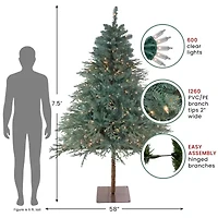 Northlight Medium Fairbanks Alartificial Clear Lights 7 1/2 Foot Pre-Lit Pine Christmas Tree