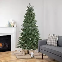 Northlight Granville Fraser Slim Artificial  Clear Lights 7 1/2 Foot Pre-Lit Fir Christmas Tree