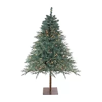 Northlight Full Fairbanks Alartificial Clear Lights 6 1/2 Foot Pre-Lit Pine Christmas Tree