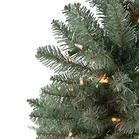 Northlight Full Fairbanks Alartificial Clear Lights 6 1/2 Foot Pre-Lit Pine Christmas Tree