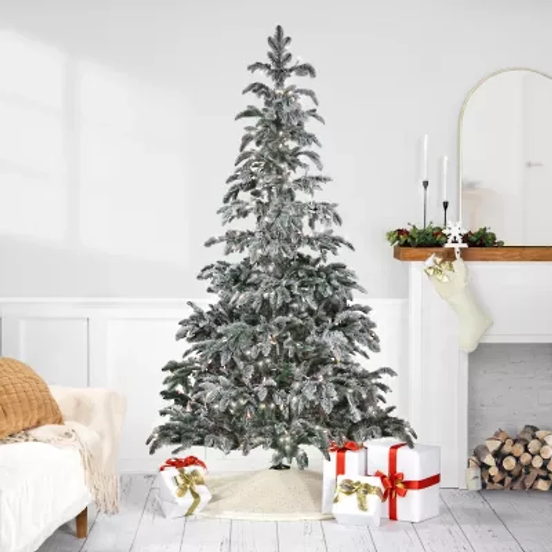 Northlight Full Whistler Noble Artificial Clear Lights 6 1/2 Foot Flocked Fir Christmas Tree