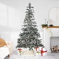 Northlight Full Whistler Noble Artificial Clear Lights 6 1/2 Foot Flocked Fir Christmas Tree