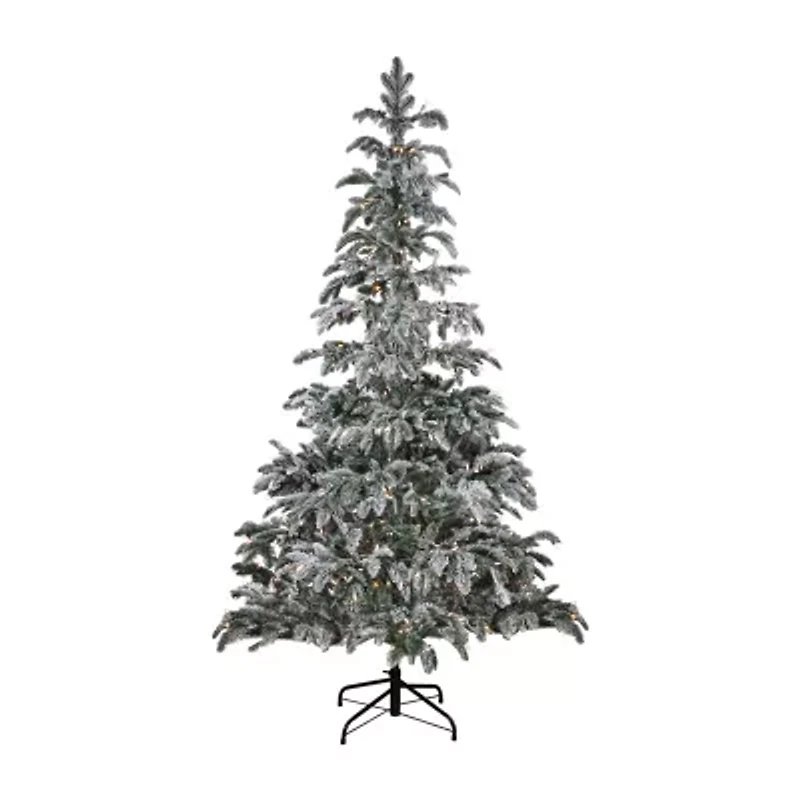 Northlight Full Whistler Noble Artificial Clear Lights 6 1/2 Foot Flocked Fir Christmas Tree