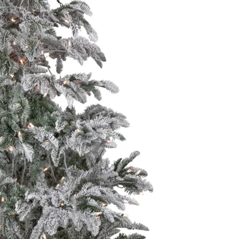 Northlight Full Whistler Noble Artificial Clear Lights 6 1/2 Foot Flocked Fir Christmas Tree