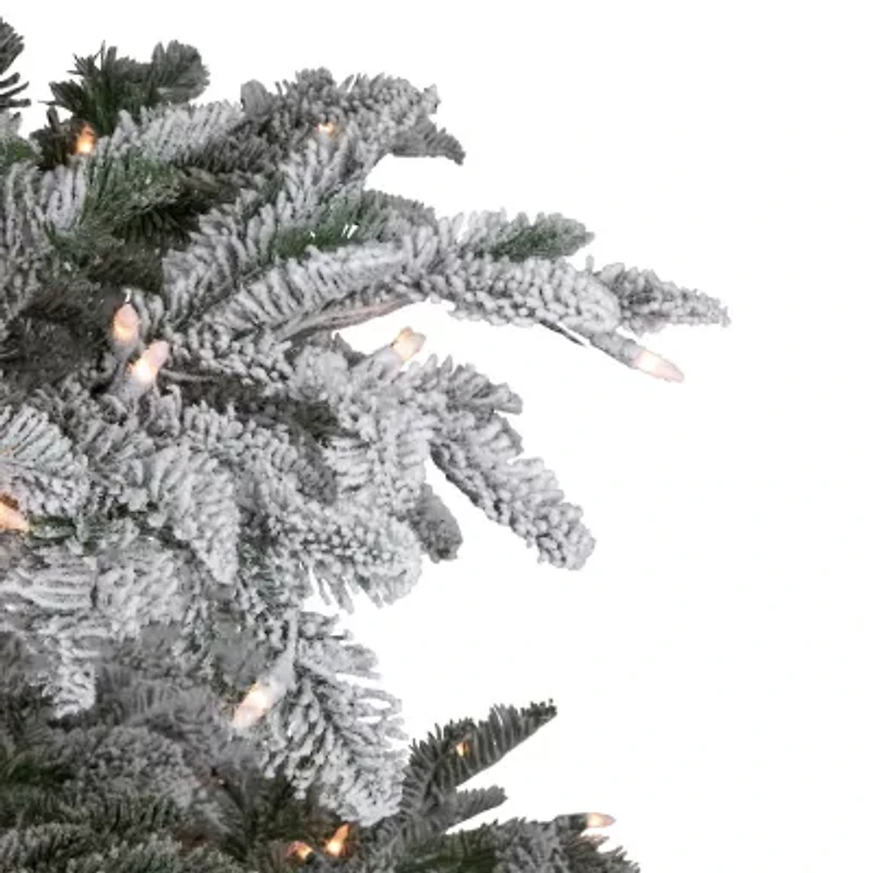 Northlight Full Whistler Noble Artificial Clear Lights 6 1/2 Foot Flocked Fir Christmas Tree