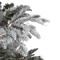 Northlight Full Whistler Noble Artificial Clear Lights 6 1/2 Foot Flocked Fir Christmas Tree