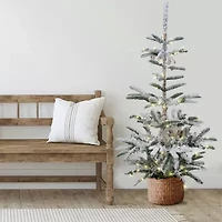Northlight Slim Nordmann Artificial Warm Clear Led Lights 6 1/2 Foot Pre-Lit Fir Christmas Tree