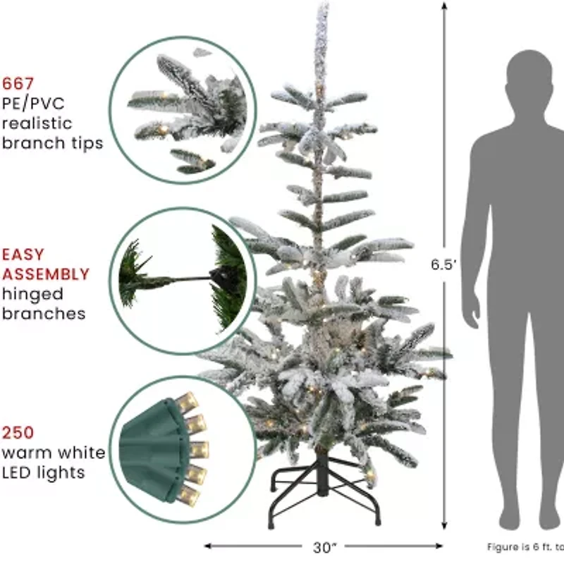 Northlight Slim Nordmann Artificial Warm Clear Led Lights 6 1/2 Foot Pre-Lit Fir Christmas Tree