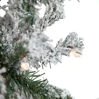 Northlight Slim Artificial  Clear Lights 6 Foot Pre-Lit Pine Christmas Tree