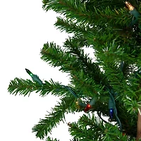 Northlight Set Of 3 Slim Alartificial Multicolor Lights 5 Foot Pre-Lit Pine Christmas Tree