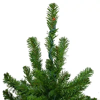 Northlight Set Of 3 Slim Alartificial Multicolor Lights 5 Foot Pre-Lit Pine Christmas Tree