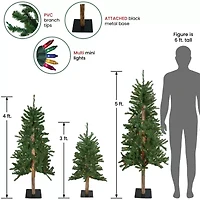Northlight Set Of 3 Slim Alartificial Multicolor Lights 5 Foot Pre-Lit Pine Christmas Tree