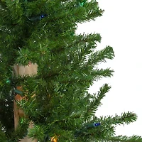 Northlight Set Of 3 Slim Alartificial Multicolor Lights 5 Foot Pre-Lit Pine Christmas Tree