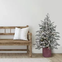 Northlight Saratoga Spruce Artificial In Pot Clear Lights 4 Foot Pre-Lit Christmas Tree