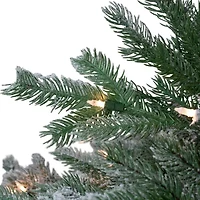 Northlight Whistler Noble Artificial Clear Lights 4 1/2 Foot Flocked Fir Christmas Tree