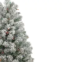 Northlight Madison Artificial  Multi Lights 4 1/2 Foot Pre-Lit Pine Christmas Tree