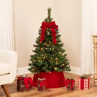 Northlight Frosted Carolina Berry Spruce Artificial  Clear Lights 4 Foot Pre-Lit Christmas Tree