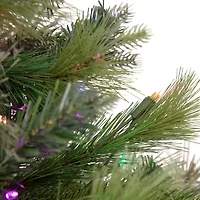 Northlight Kingston Cashmere Full Artificial Multi Led Lights 3 Foot Pre-Lit Pine Christmas Tree