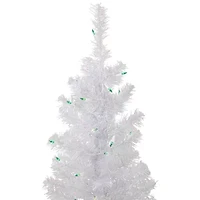 Northlight Rockport White Artificial  Green Lights 4 Foot Pre-Lit Pine Christmas Tree