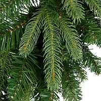 Frasier Fir Artificial Christmas Wreath - 24-Inch  Unlit