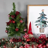Northlight Medium Blackwater Artificial Unlit 1 1/2 Feet Fir Christmas Tree