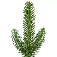 9' x 12'' Pre-Lit Washington Frasier Fir Artificial Christmas Garland - Clear Lights