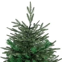 Northlight Hudson Artificial  Unlit 7 1/2 Foot Fir Christmas Tree