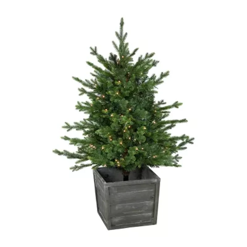 Northlight Potted Deluxe Russian Artificial  Warm White Led Lights 4 Foot Pre-Lit Pine Christmas Tree