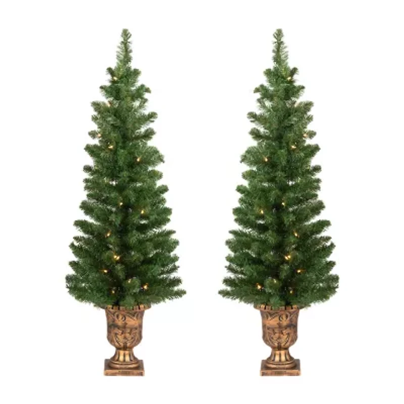 Northlight Whitmire 4 Foot Pre-Lit Pine Christmas Tree