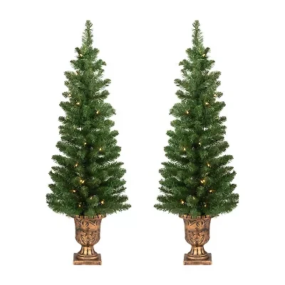Northlight Whitmire 4 Foot Pre-Lit Pine Christmas Tree