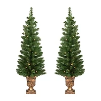 Northlight Whitmire 4 Foot Pre-Lit Pine Christmas Tree