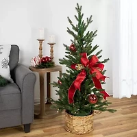 Northlight Spruce Potted 4 Foot Pre-Lit Spruce Christmas Tree