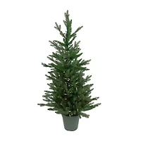 Northlight Spruce Potted 4 Foot Pre-Lit Spruce Christmas Tree