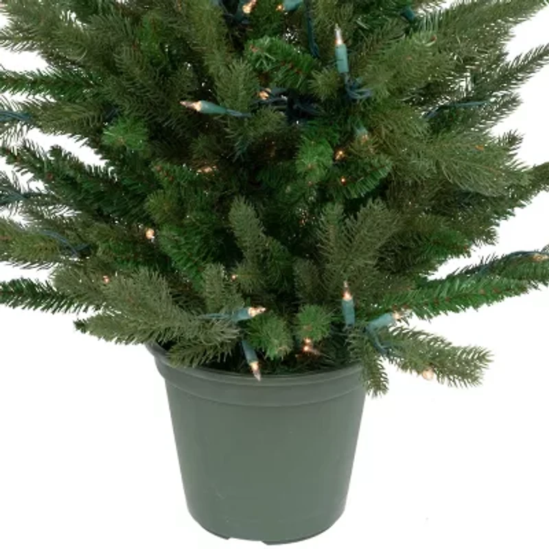 Northlight Spruce Potted 4 Foot Pre-Lit Spruce Christmas Tree
