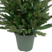 Northlight Spruce Potted 4 Foot Pre-Lit Spruce Christmas Tree