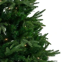 Northlight Silverthorne 6 1/2 Foot Pre-Lit Fir Christmas Tree