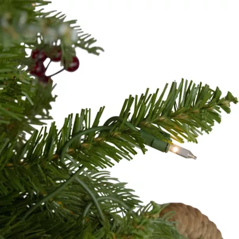 Northlight Medium 6 1/2 Foot Pre-Lit Pine Christmas Tree