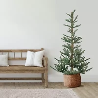 Northlight Nordmann Fir 7 1/2 Foot Pre-Lit Fir Christmas Tree