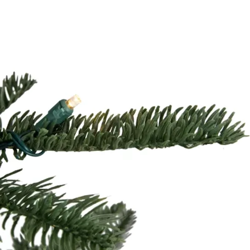 Northlight Nordmann Fir 7 1/2 Foot Pre-Lit Fir Christmas Tree