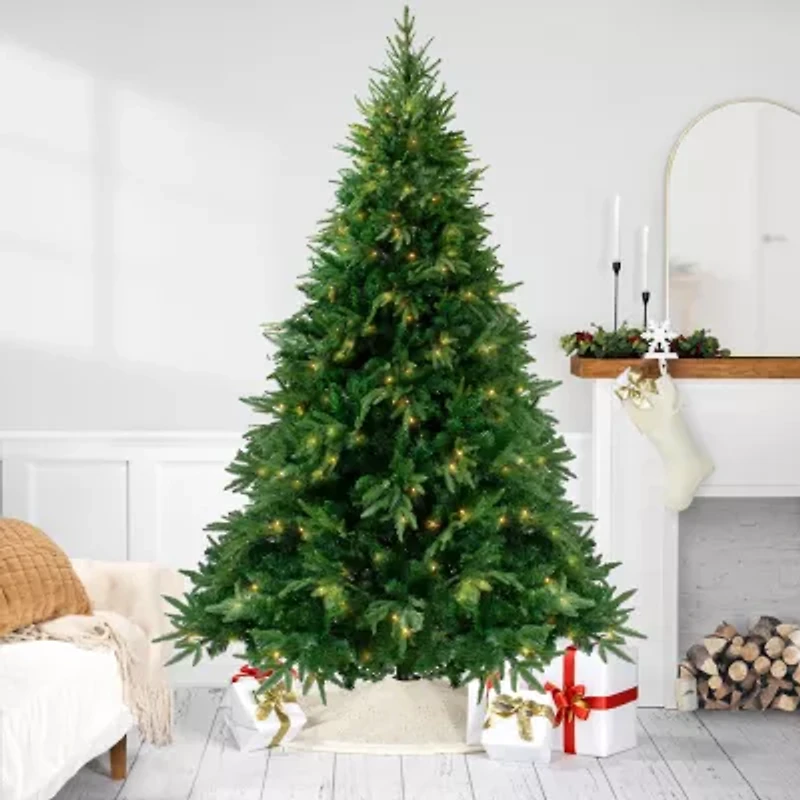 Northlight Full Silverthorne 7 1/2 Foot Pre-Lit Fir Christmas Tree