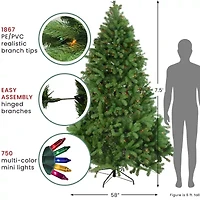 Northlight Noble Full 7 1/2 Foot Pre-Lit Fir Christmas Tree