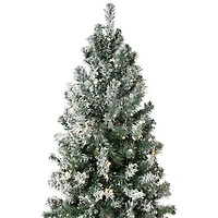 Northlight Slim Flocked Pine 9 Foot Pre-Lit Pine Christmas Tree