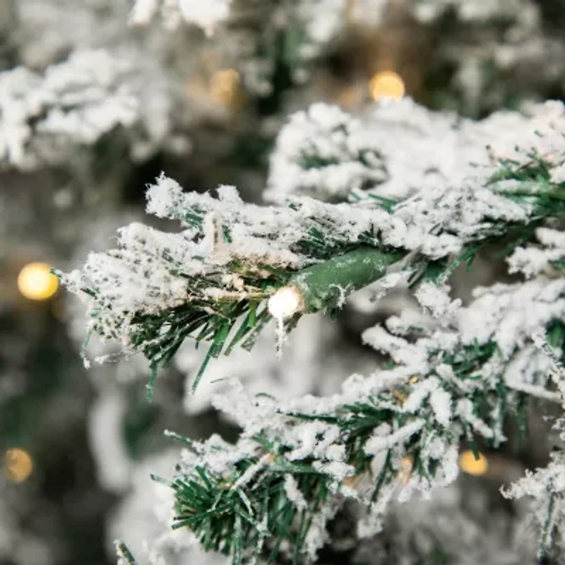 Northlight Slim Flocked Pine 9 Foot Pre-Lit Pine Christmas Tree