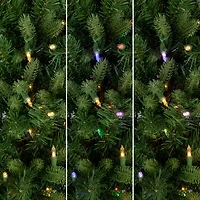 Northlight Frasier Fir Slim 7 1/2 Foot Pre-Lit Fir Christmas Tree