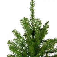 Northlight Full Northern Unlit 10 Foot Pine Christmas Tree