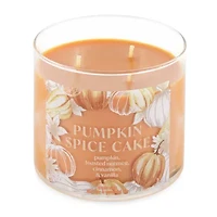 Distant Lands 14 Oz 3 Wick Pumpkin Spice Cake Scented Jar Candle