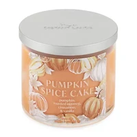 Distant Lands 14 Oz 3 Wick Pumpkin Spice Cake Scented Jar Candle